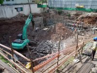 nerlikar-may-2021-05